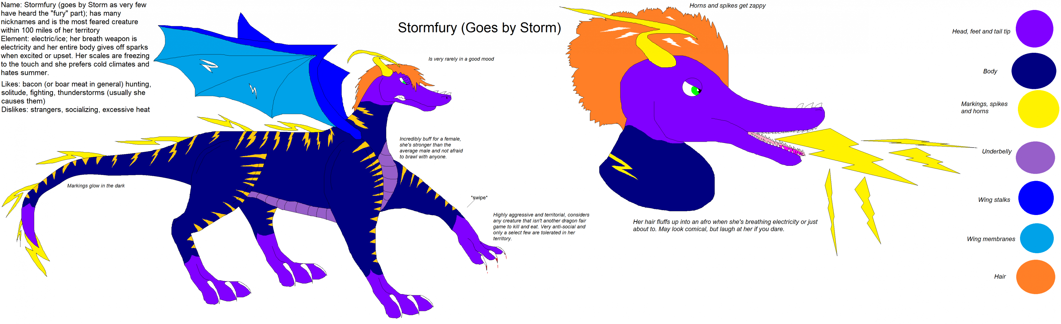 Storm reference by Bleedingraptorclaw -- Fur Affinity [dot] net