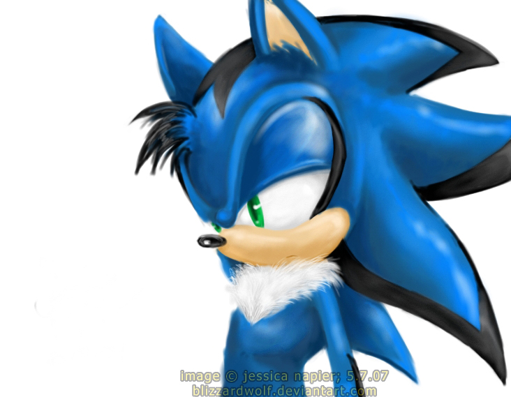 sonic fan made characters male