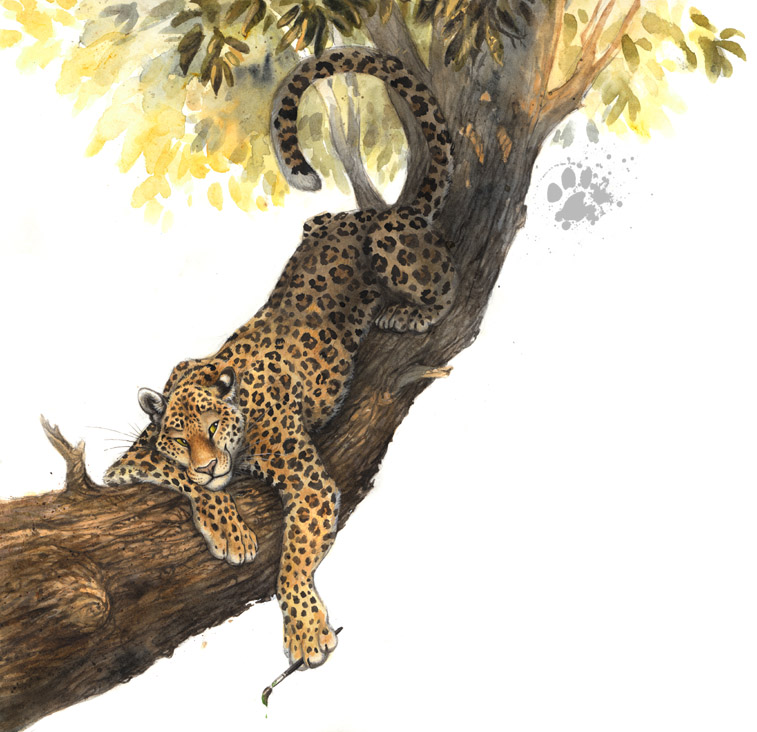 Тигр на ветке ребенок. Гепард на дереве. Леопард на дереве. Сказочные Дикие кошки. Рисунки леопардов на дереве.