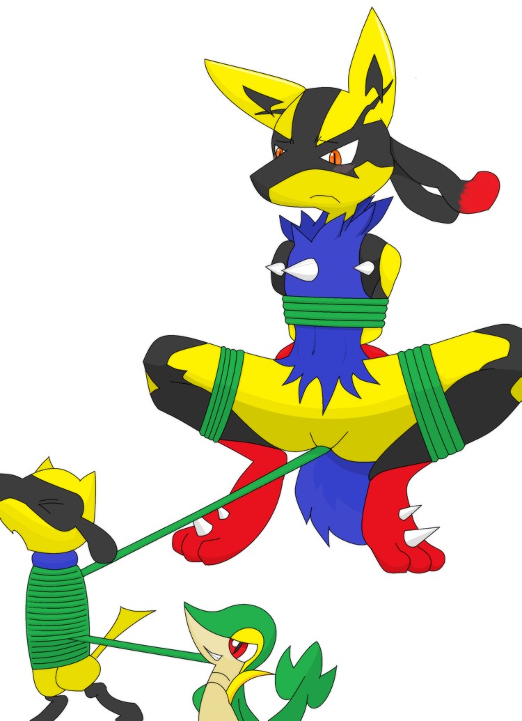 Mega Lucario (Shiny Theory) by HGSS94 on DeviantArt