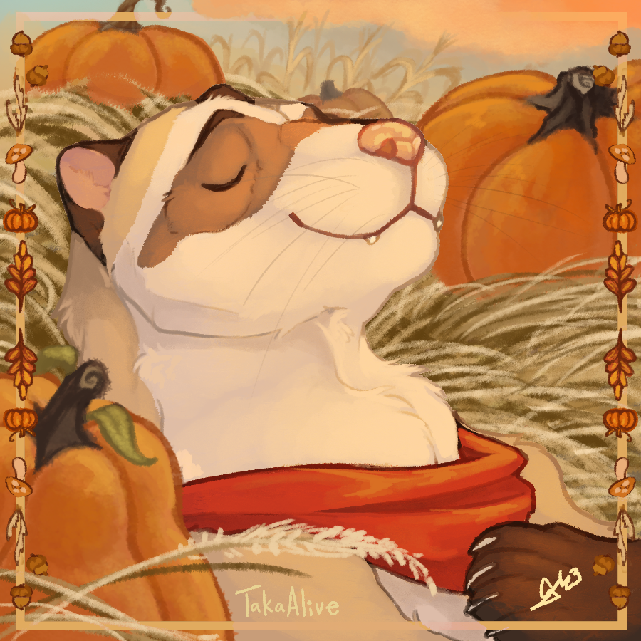 Pumpkin Repose