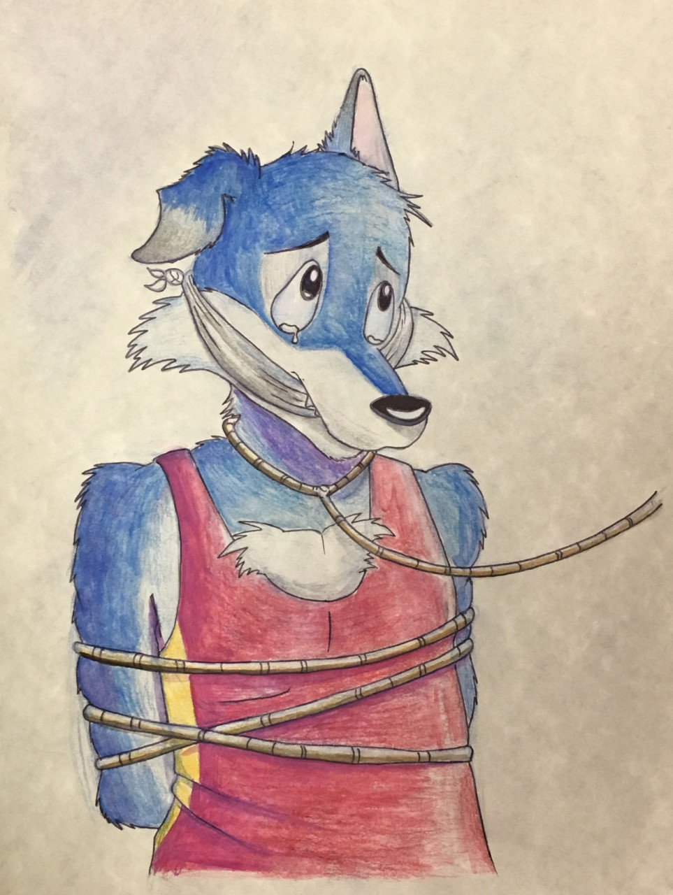 Blue Wolf Bound and Gagged by BoundPup -- Fur Affinity [dot] net