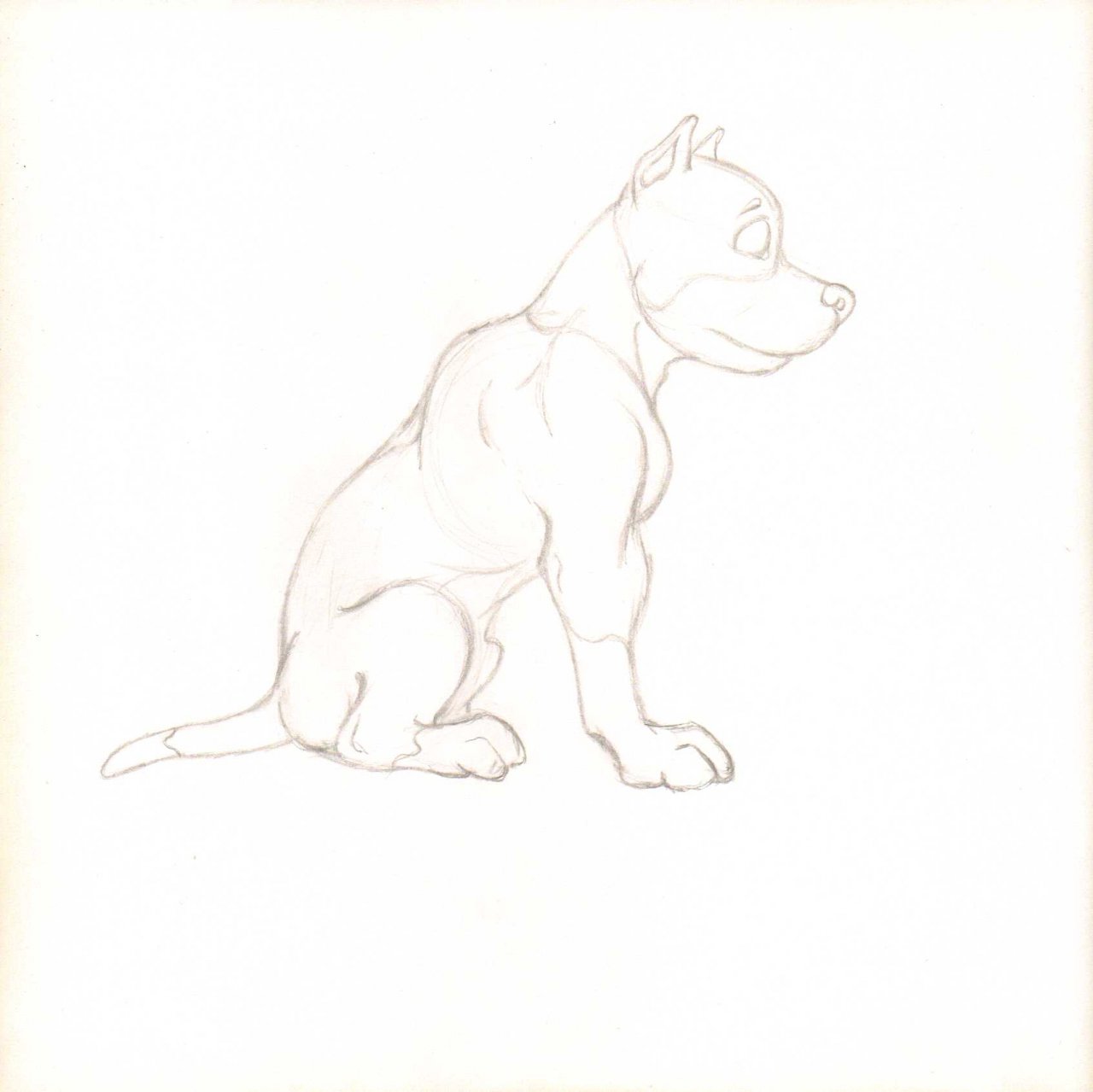 pit bull terrier vector sketch 7652766 Vector Art at Vecteezy