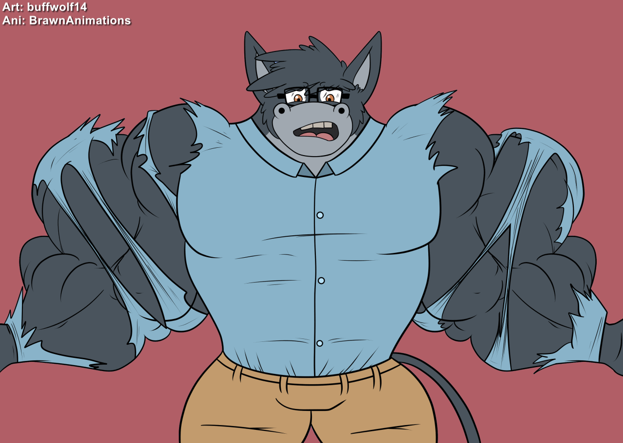 Furry Muscle Growth Animation