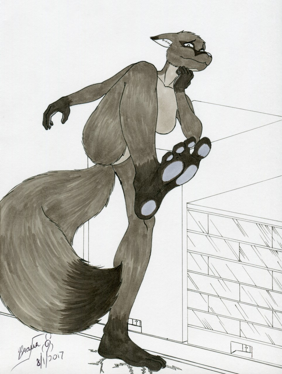 Giantess fox