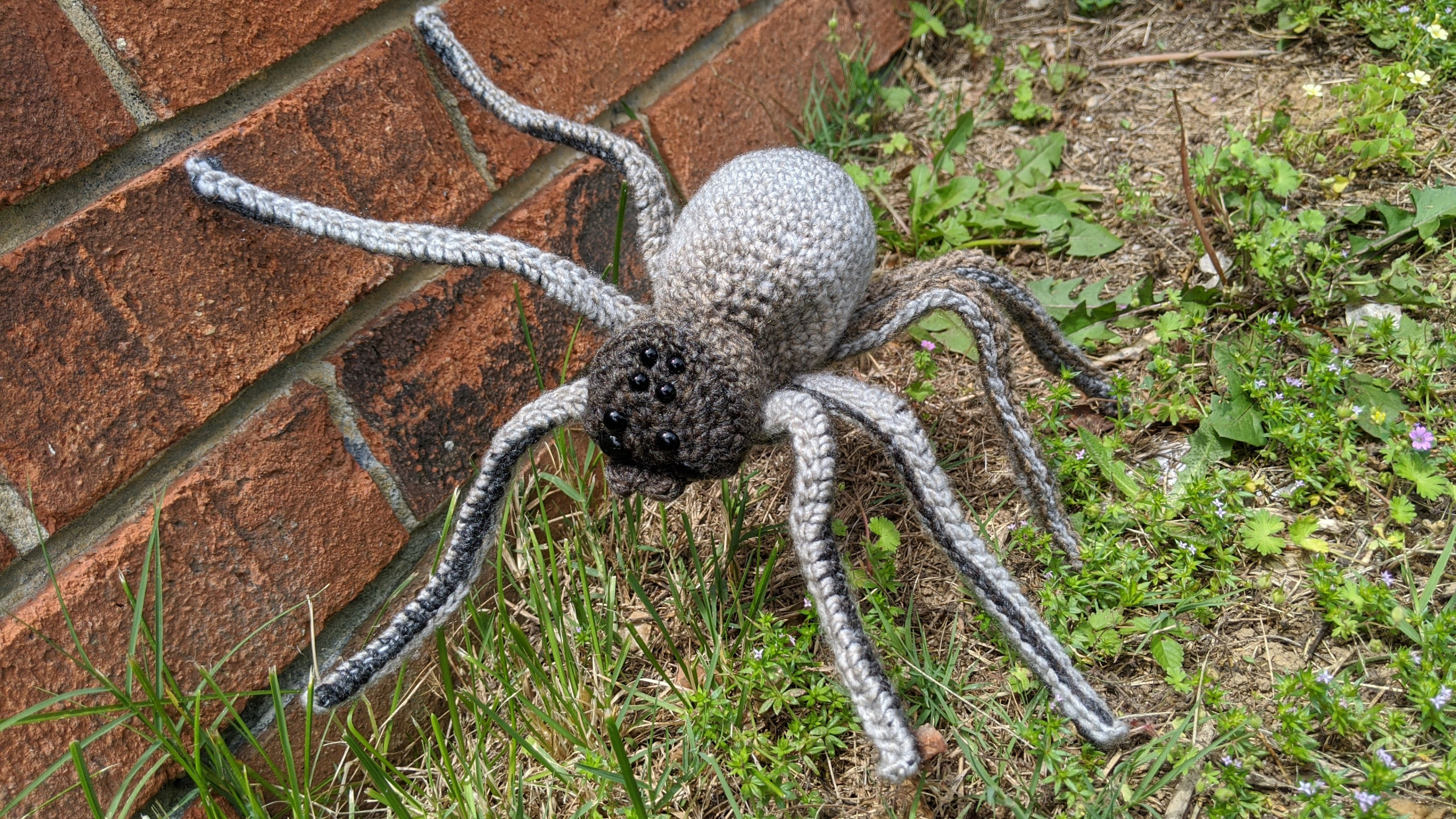 Seal point spider by BreachofReality &ndash; Fur Affinity [dot] net
