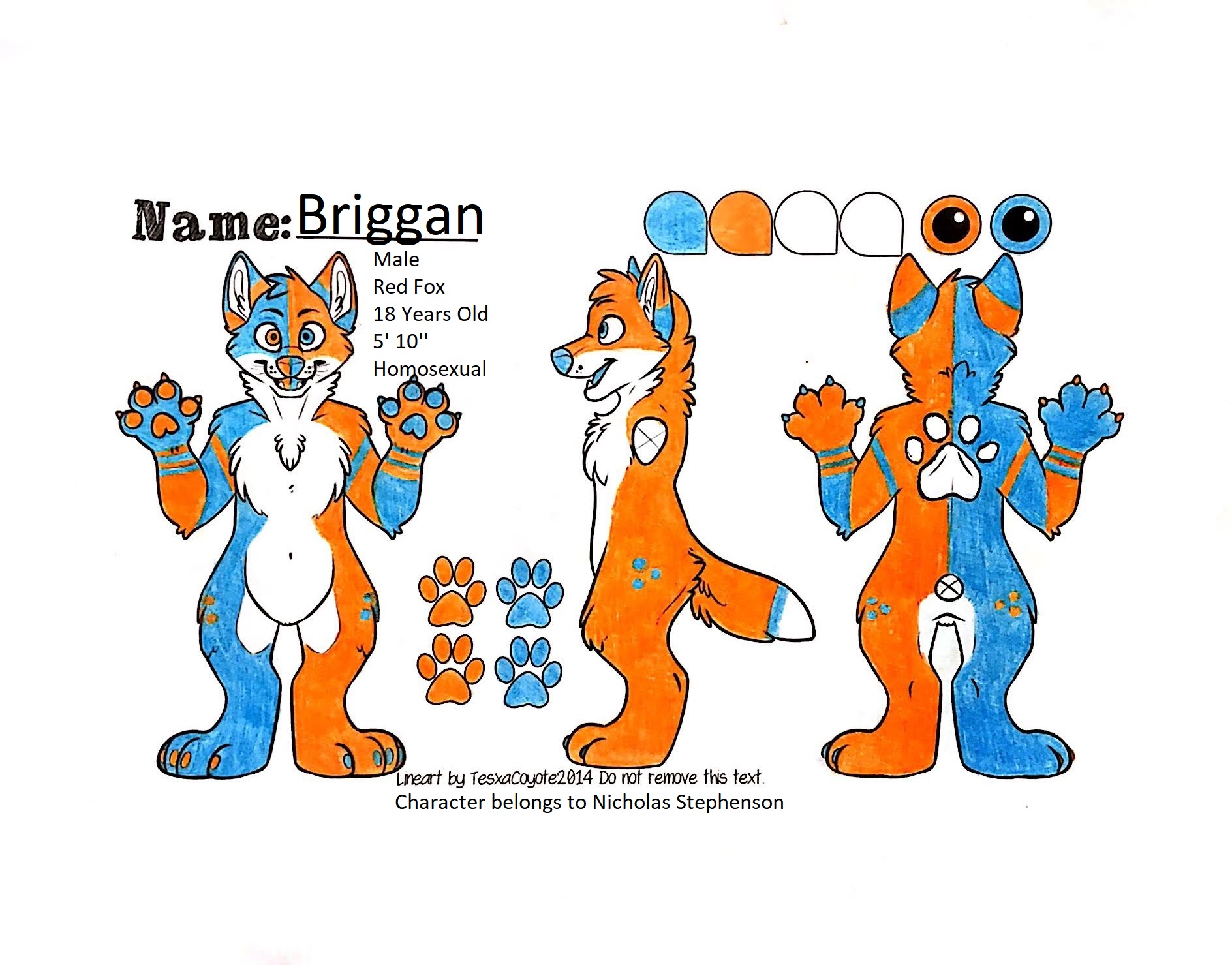 Fox fursona ref sheet