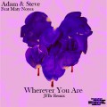 Adam & Steve - Wherever you are Ft Maty Noyes (JFBr Remix)