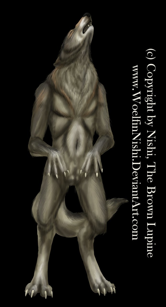 Semi-realistic Werewolf by BrownLupine -- Fur Affinity [dot] net