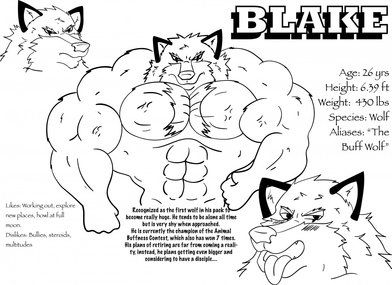 Blake Wolf Ref. Sheet by buffwolf14 Fur Affinity dot net