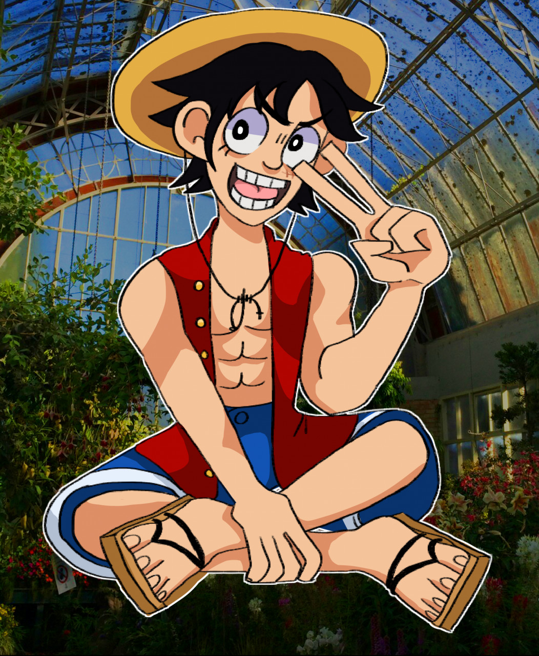 Monkey D. Luffy (Pre-Timeskip)