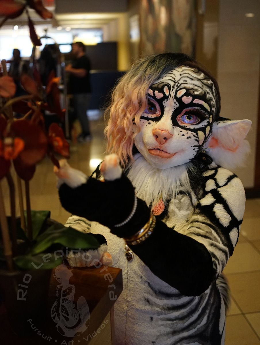 ダッフィー - Rio  Rio AC Shoot 3 by ButterflyBackRio -- Fur Affinity [dot] net