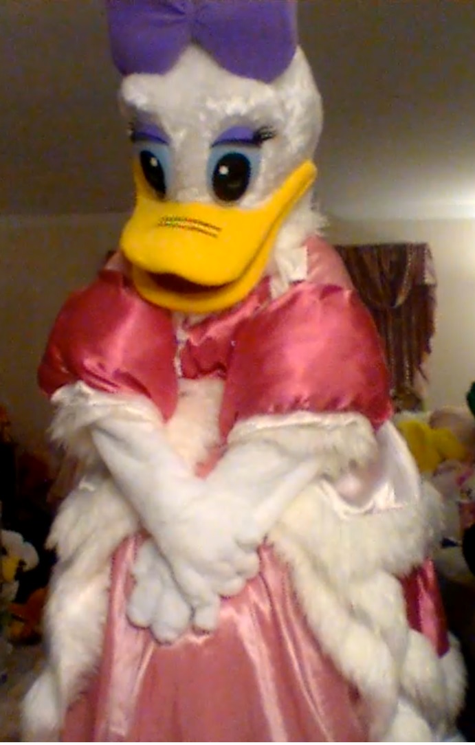 Daisy Duck Card Fancy Dress Mask