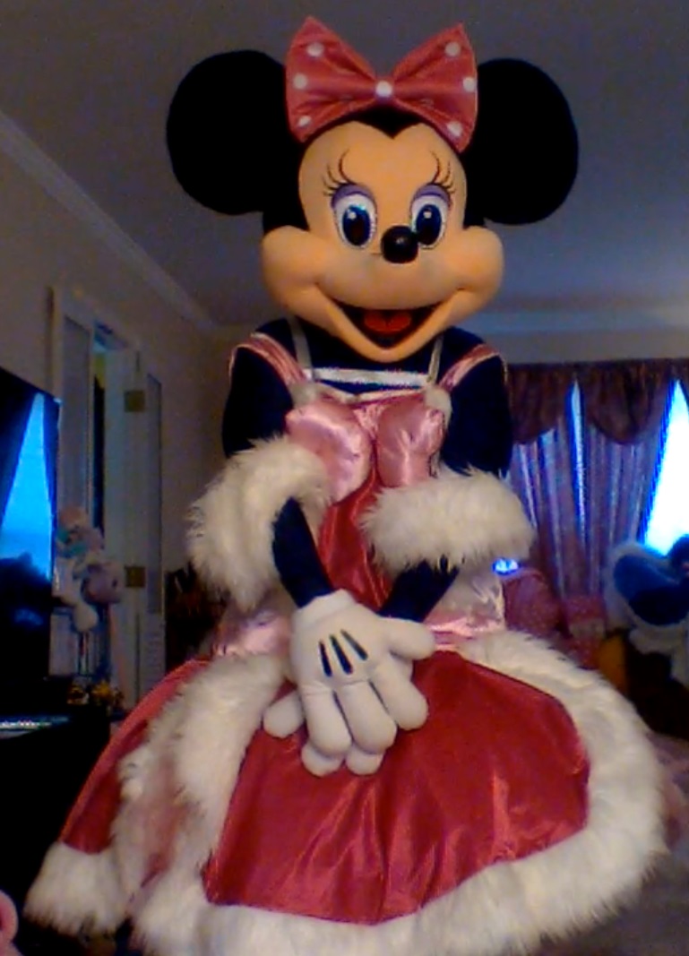Minnie Mouse Costume – Barks First Avenue