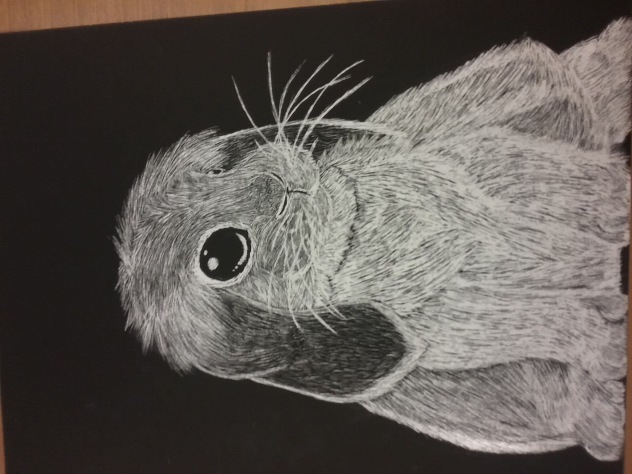 Scratch art bunny by CakiePaws -- Fur Affinity [dot] net