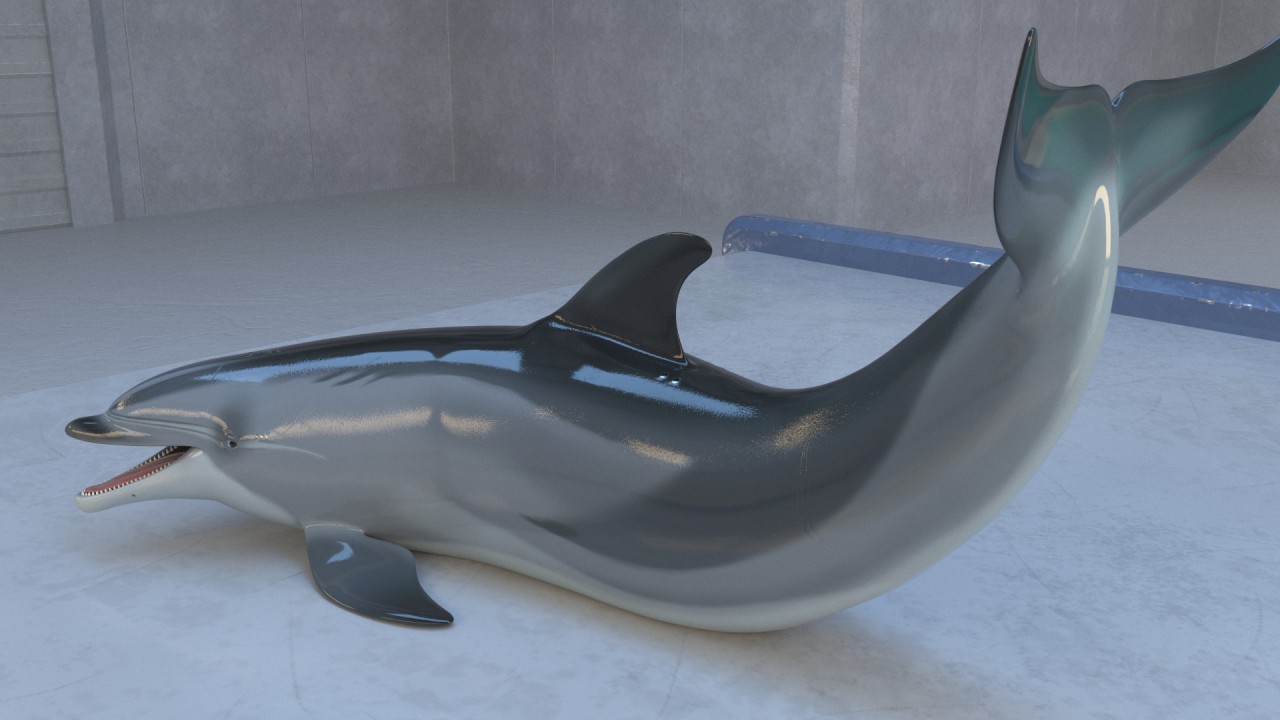 Tasuric Dolphin