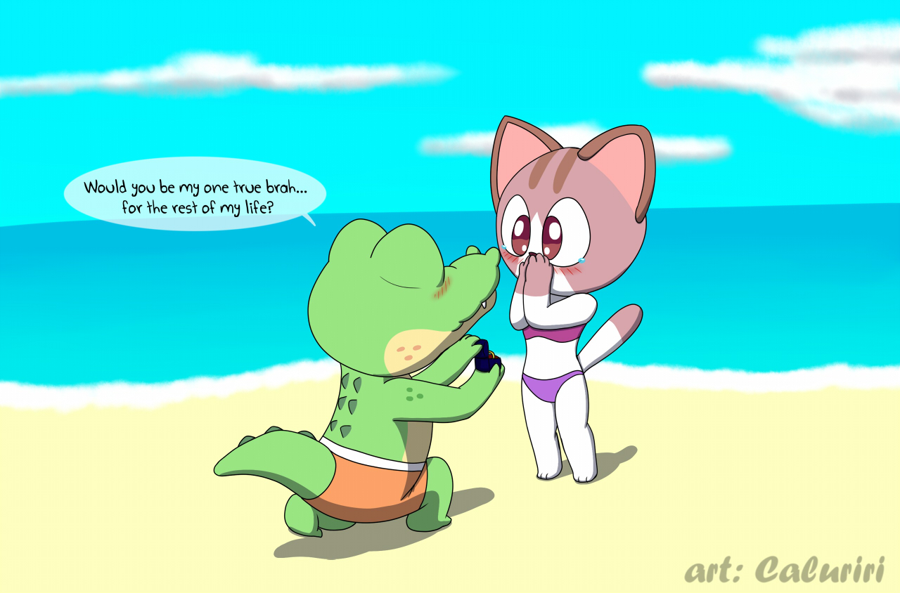 Proposal on the Beach (by Caluriri)