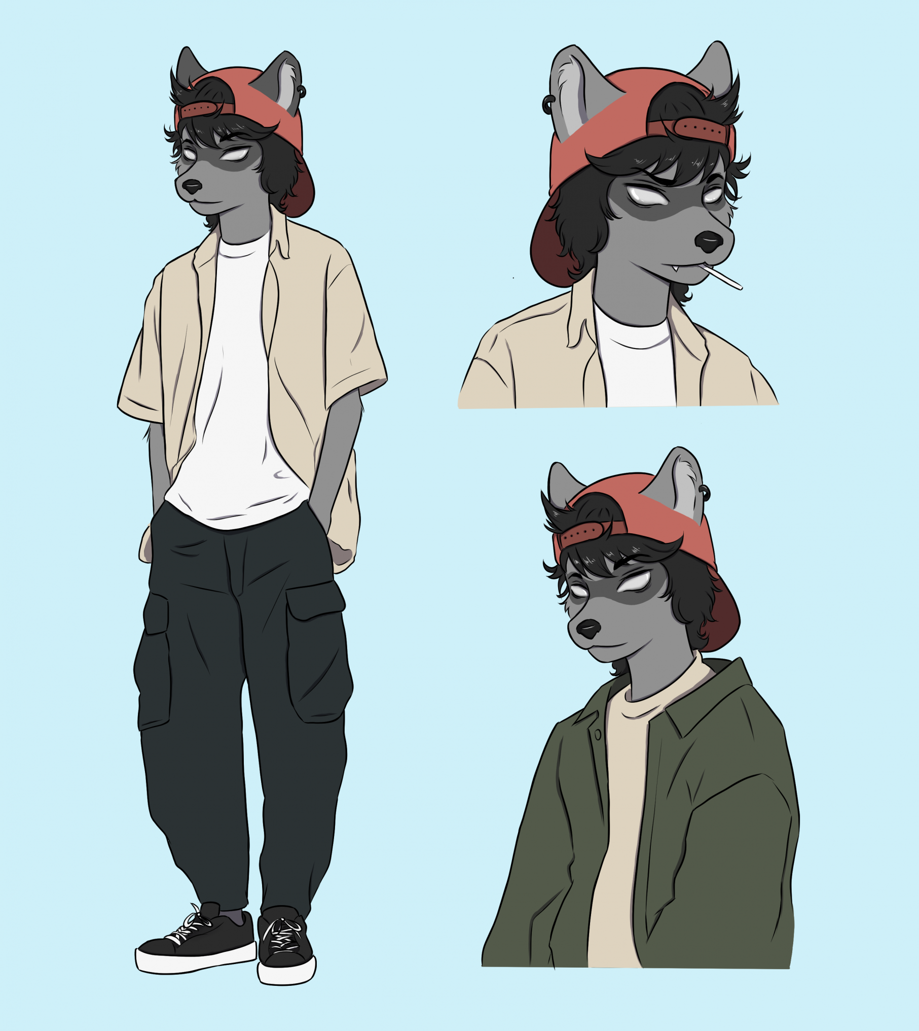 Raccon Character sheet