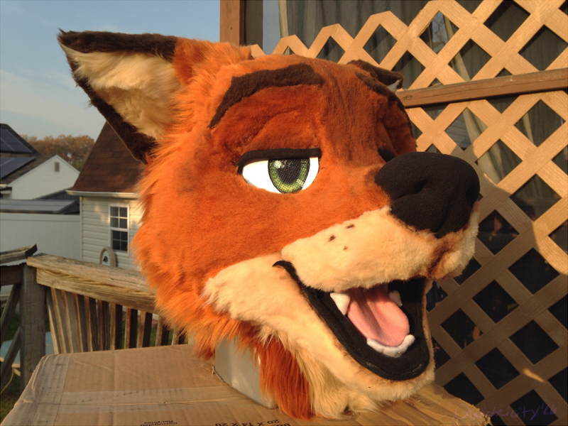 Don't Hug Cacti Fursuit Wolf Fox Fursuit, Fursuit Head,