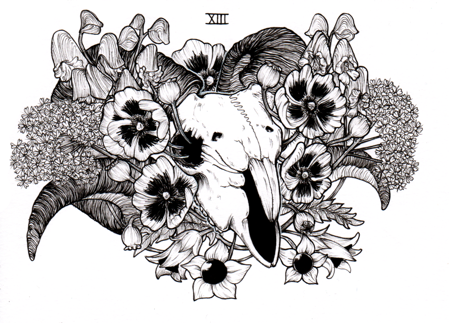 Ram Skull with Pentagram Vector Illustration Stock Vector - Illustration of  insignia, pentagram: 212245578