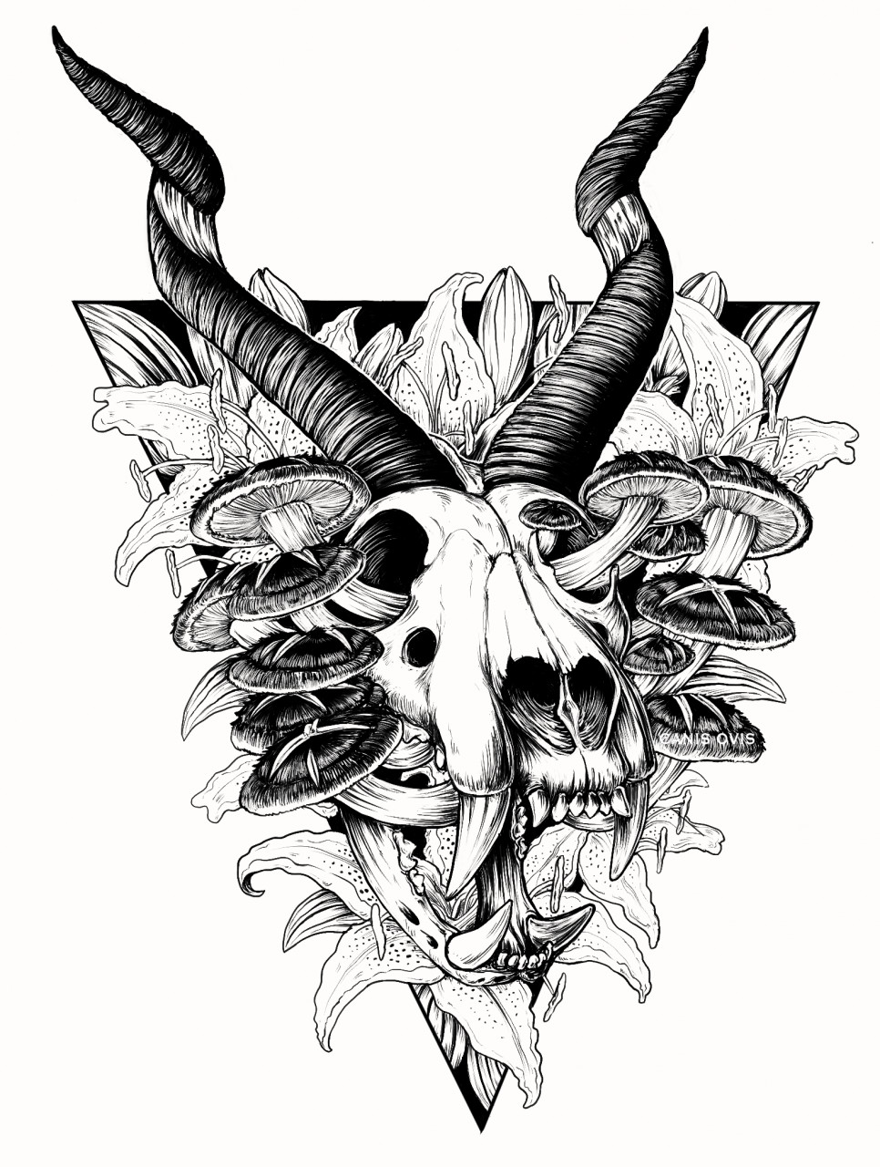 Sideshow Tattoos & Piercings - Hartbeespoort, South Africa - Kudu Skull,  Roses & Protea Tattoo | Facebook
