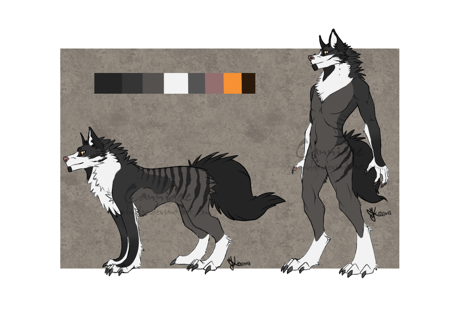 furry wolf anthro