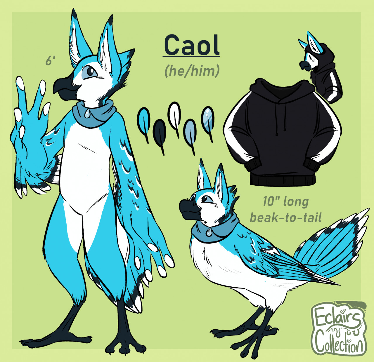 Bird Caol Ref