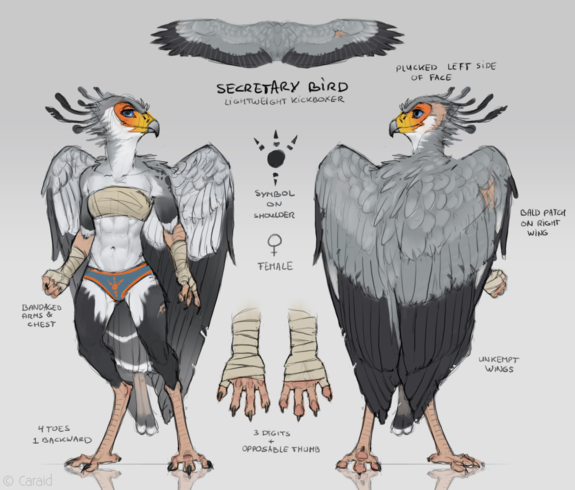 Secretary Bird. 