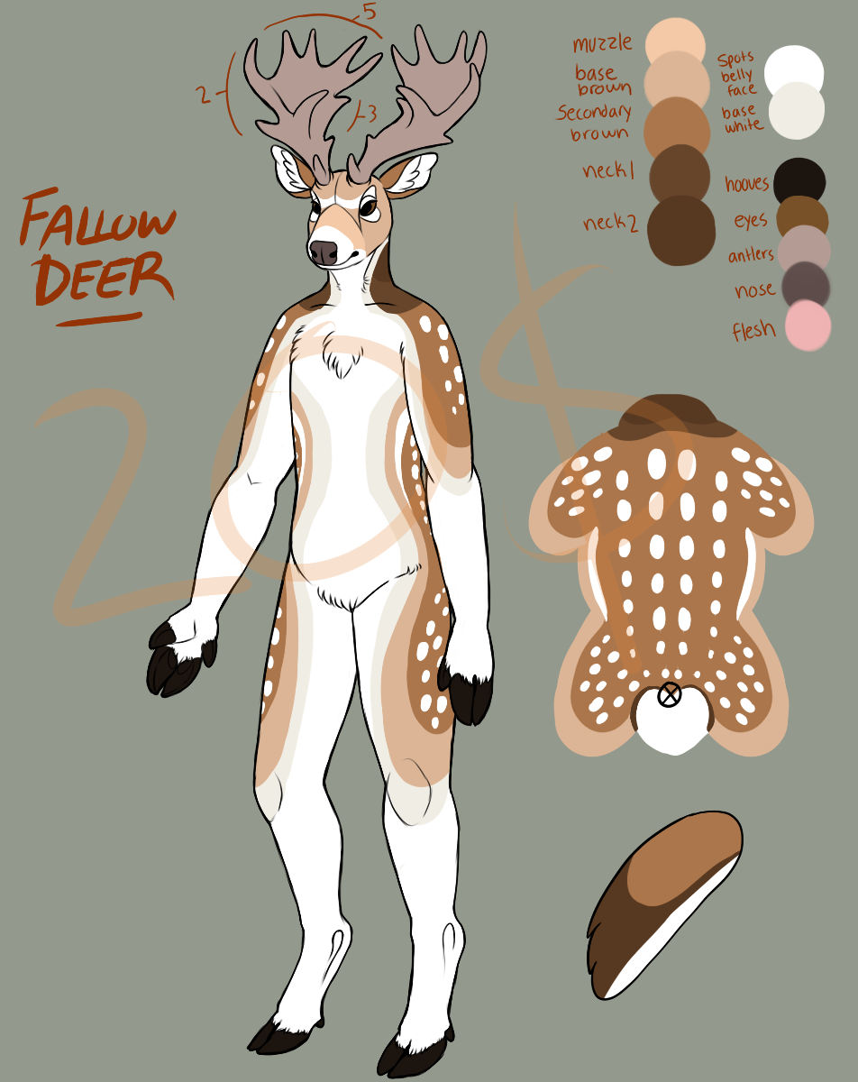 Fallow Deer Hide (20), Fallow Deer Hides
