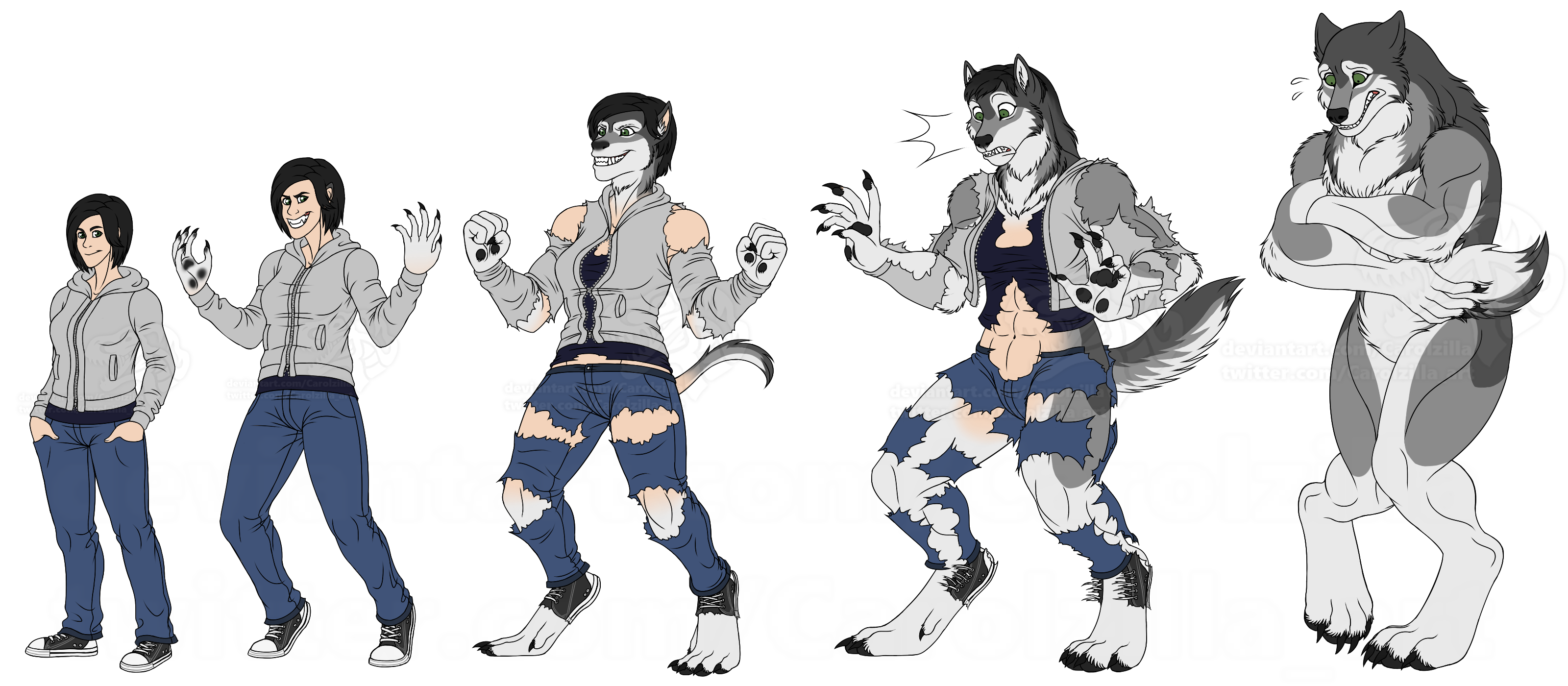 Clumsy Werewolf Transformation Commission By Carolzilla Fur Affinity [dot] Net