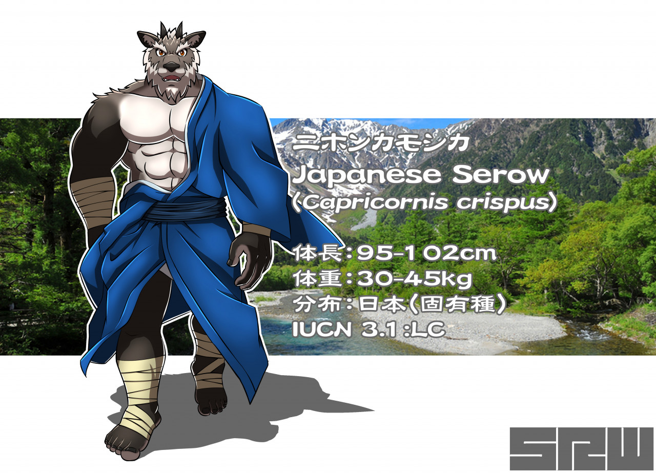 0807 2 ニホンカモシカ Japanese Serow By Ccccc0603 Fur Affinity Dot Net