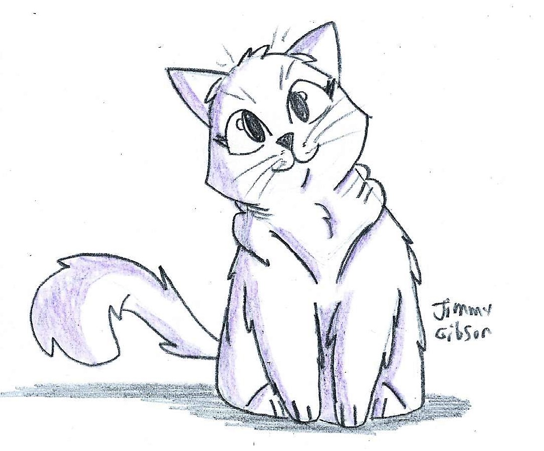30 Easy Cat Drawing Ideas