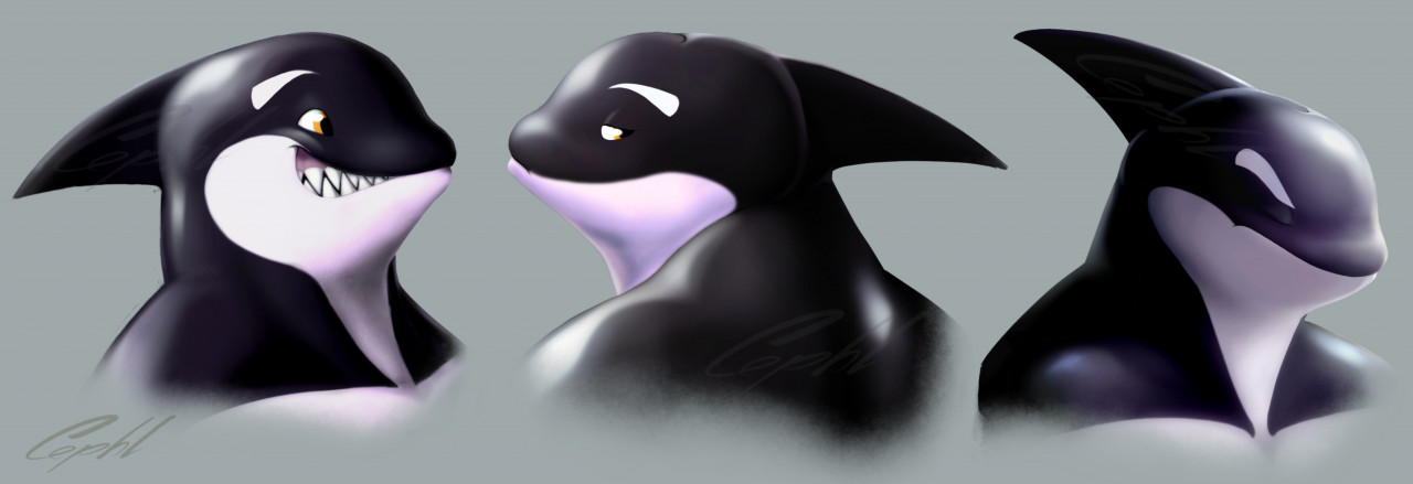 Furrybooru Anthro Black Body Black Skin Cephl Cetacean Delphinoid Facial Expressions Fin Frown