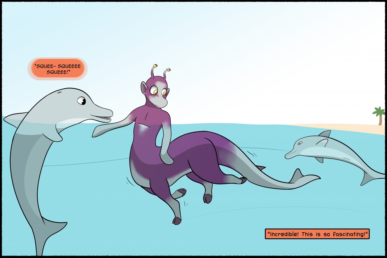 Transformation before a dolphin? Mimmi & the dolphins