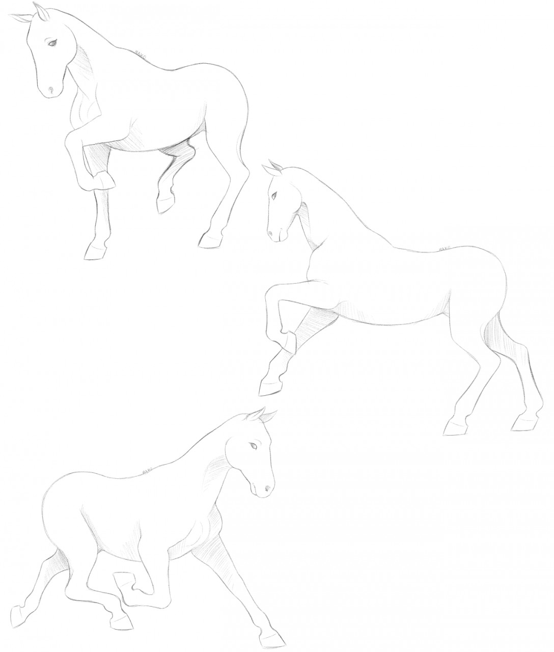 How To Draw A Flying Horse, Flying Horse, Step by Step, Drawing Guide, by  Dawn - DragoArt
