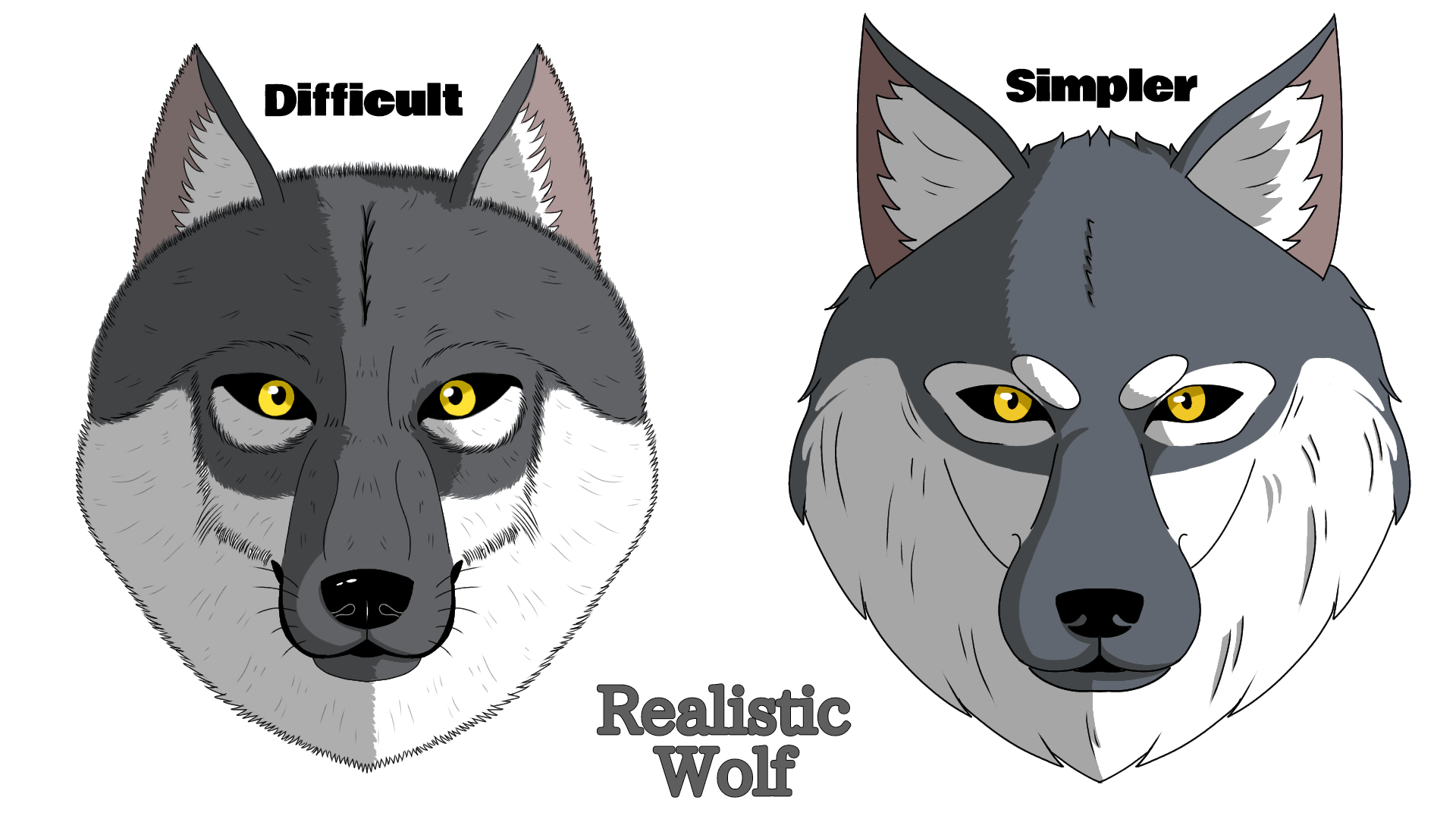 How to draw a realistic Wolf - (Time Lapse) - YouTube