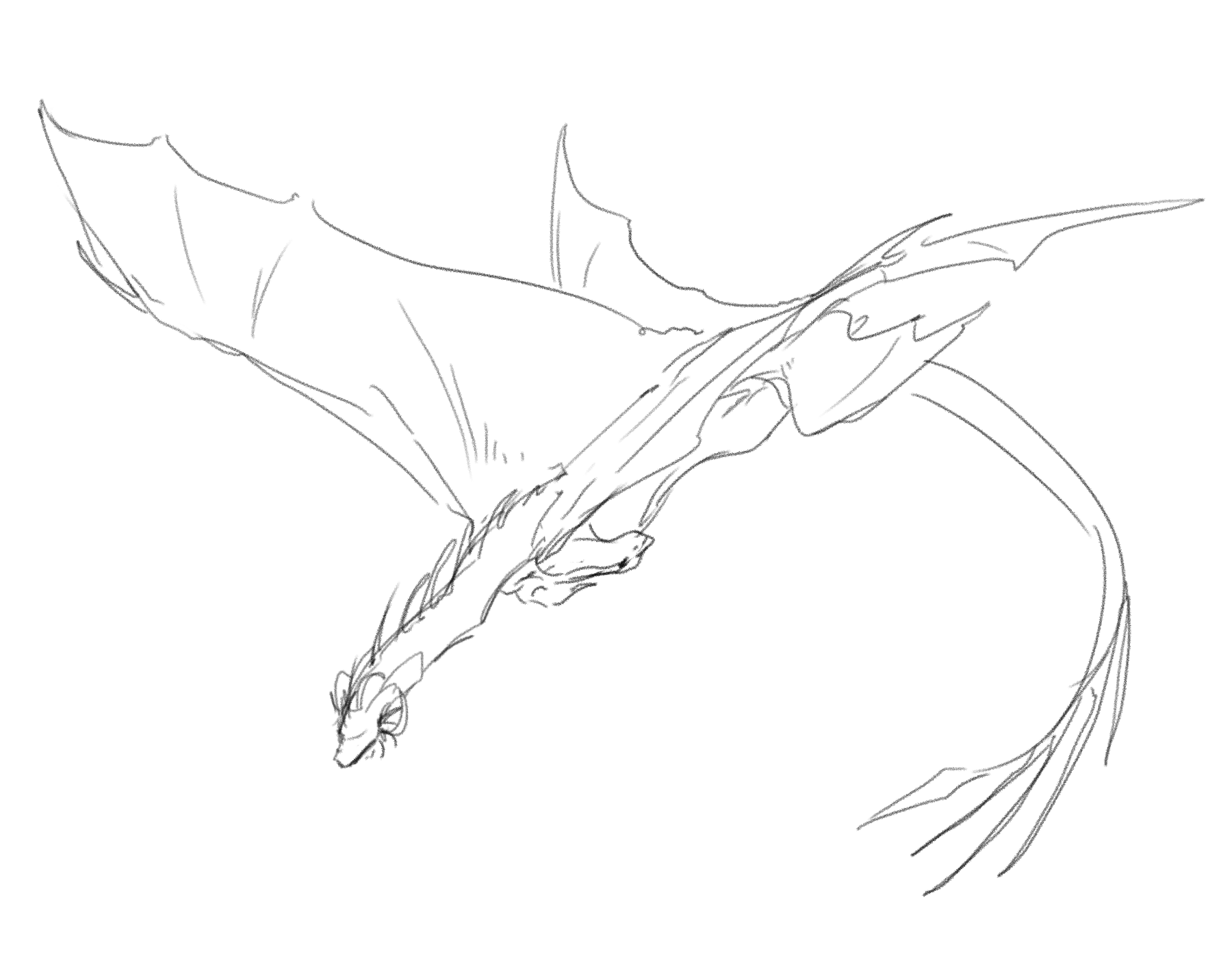dragon in flight drawing