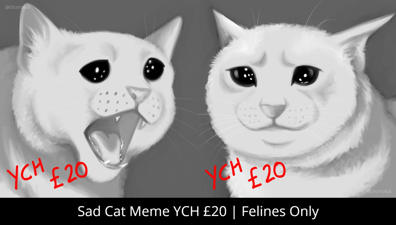 YCH] Sad Cat Meme Icon by churrokat -- Fur Affinity [dot] net