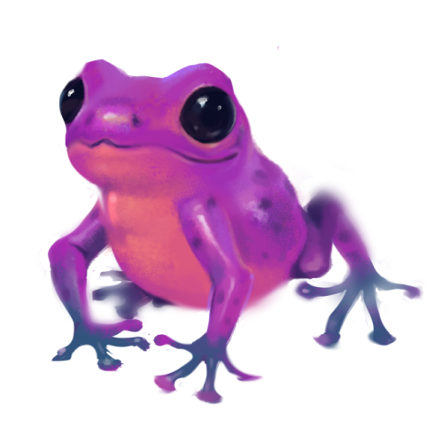 poison tree frog purple
