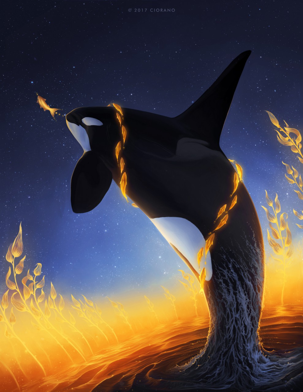 Orca арт