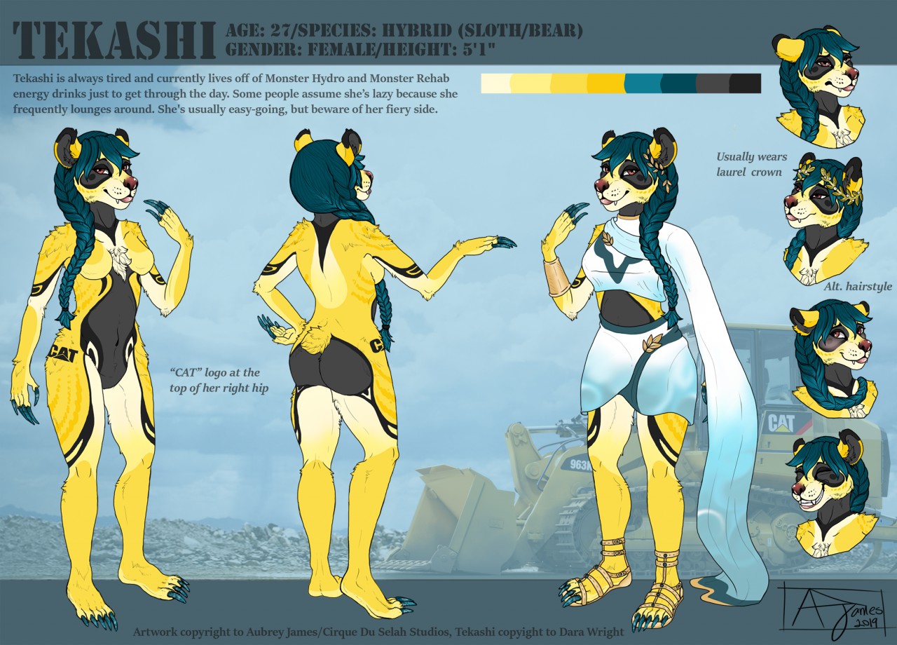 Commission Cat Full Reference Sheet (Download Now) 