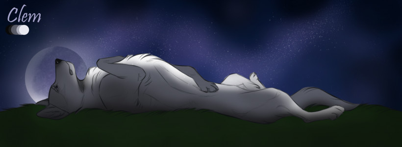 Profile Banner image