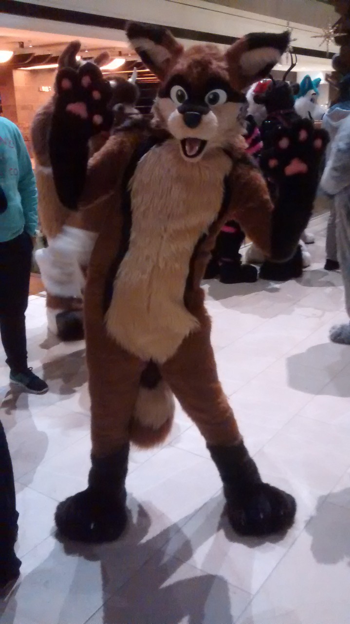 Ausup the fox! @ MFF 2015