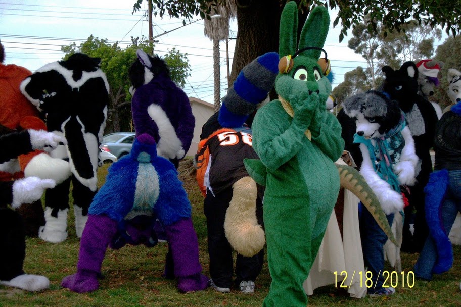 Murrsuits