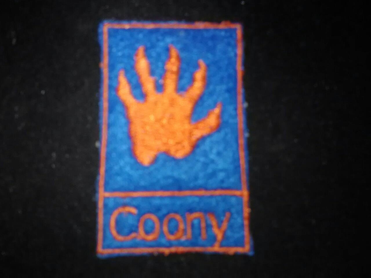 my-custom-patch-by-coony-raccoon-fur-affinity-dot-net