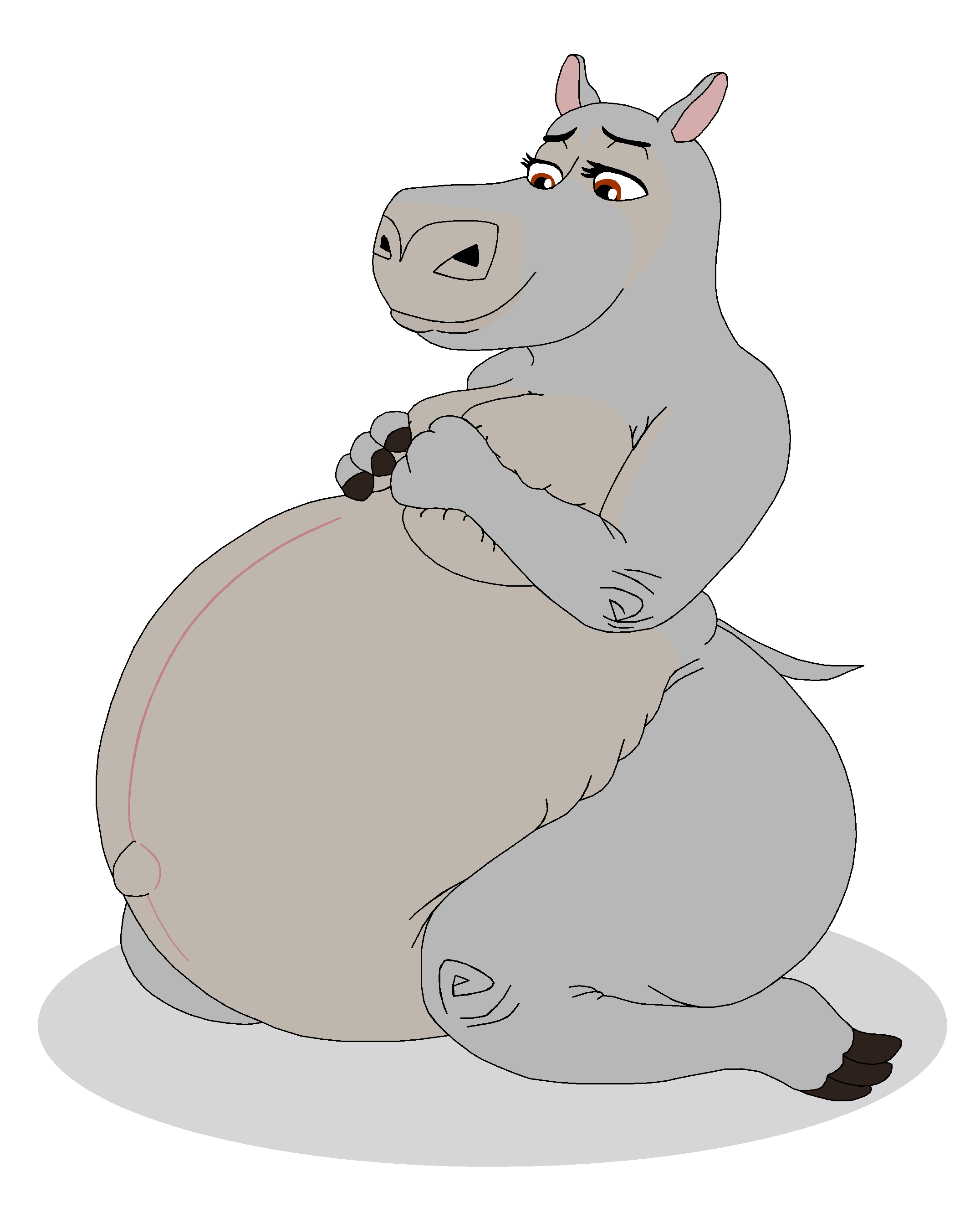 Gloria hippo belly