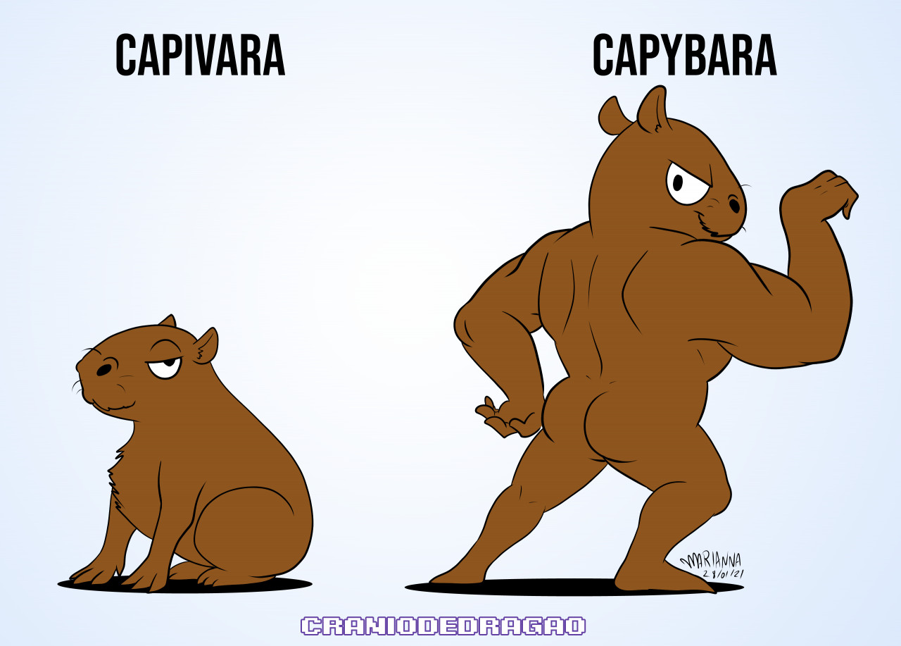 Capivara meme 