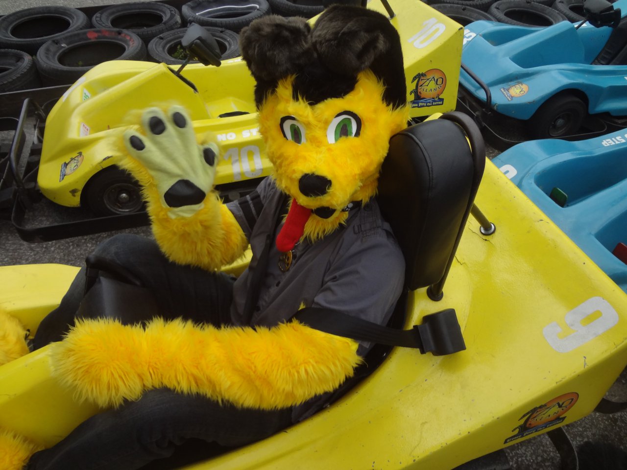 no-i-do-not-have-my-license-and-registration-by-crashodie-fur