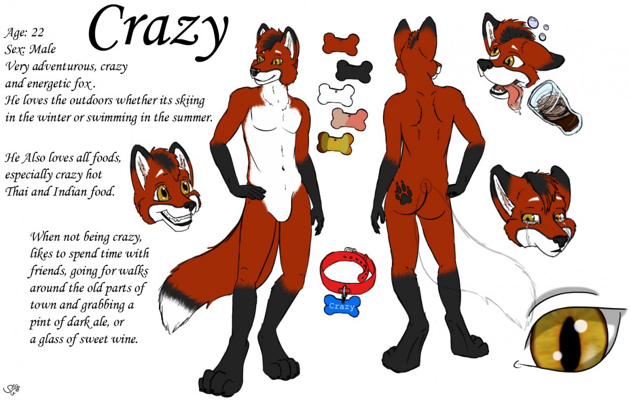 Crazy-fox by crazy-fox -- Fur Affinity [dot] net