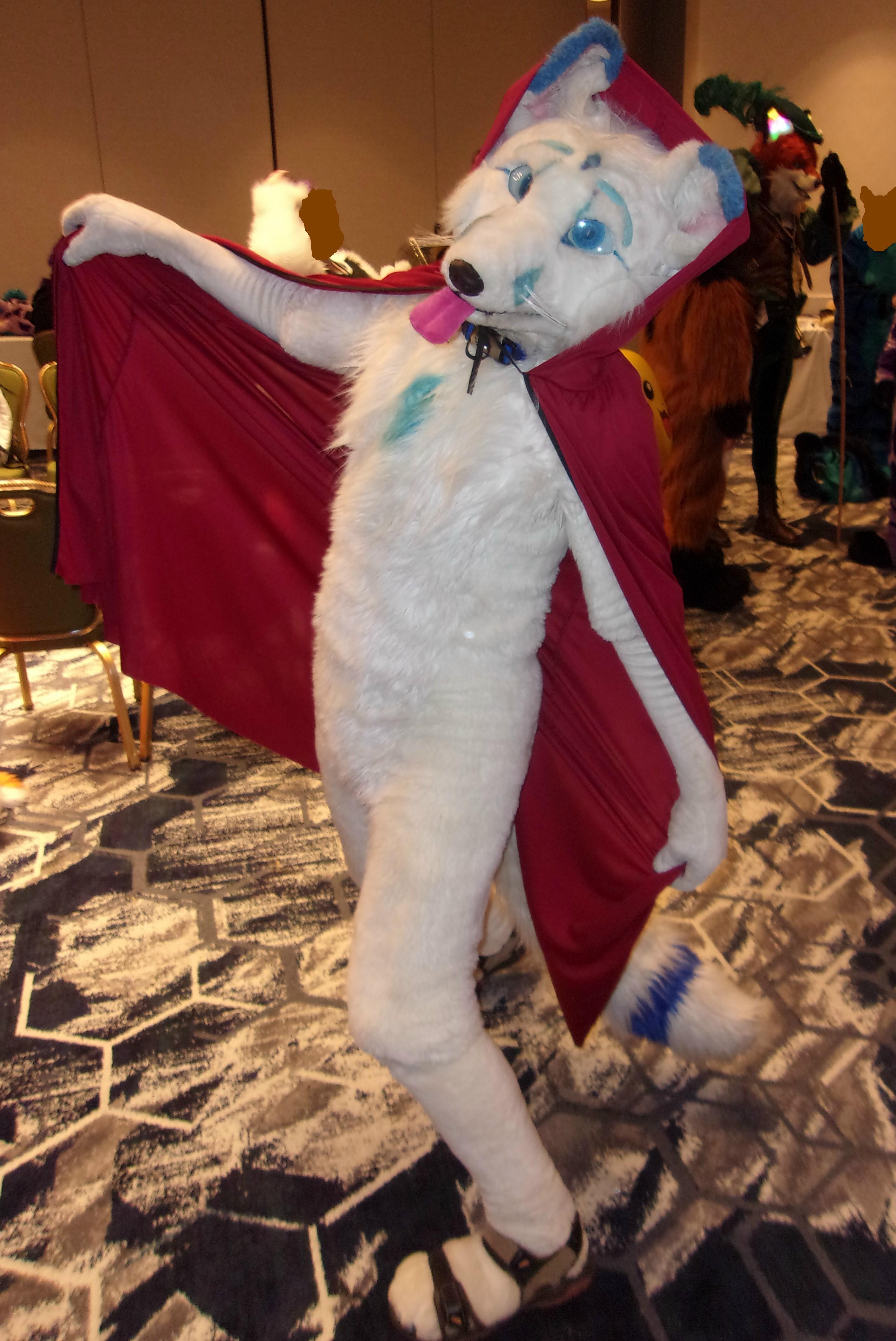 Little Red riding Ice Fox. by crazyjoe1952 -- Fur Affinity [dot] net